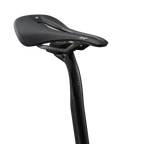 Giant Revolt Advanced SL 0 - Raw Carbon / Prism Pearl