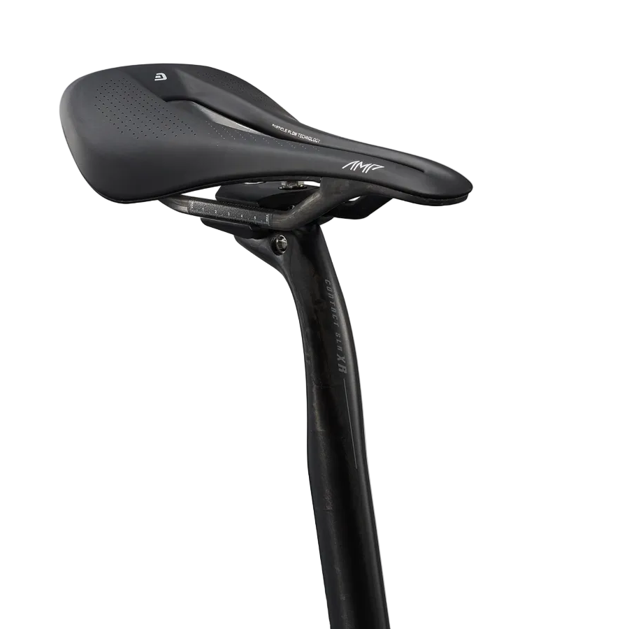 Giant Revolt Advanced SL 0 - RawCarbon/PrismPearl