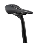 Giant Revolt Advanced SL 0 - RawCarbon/PrismPearl