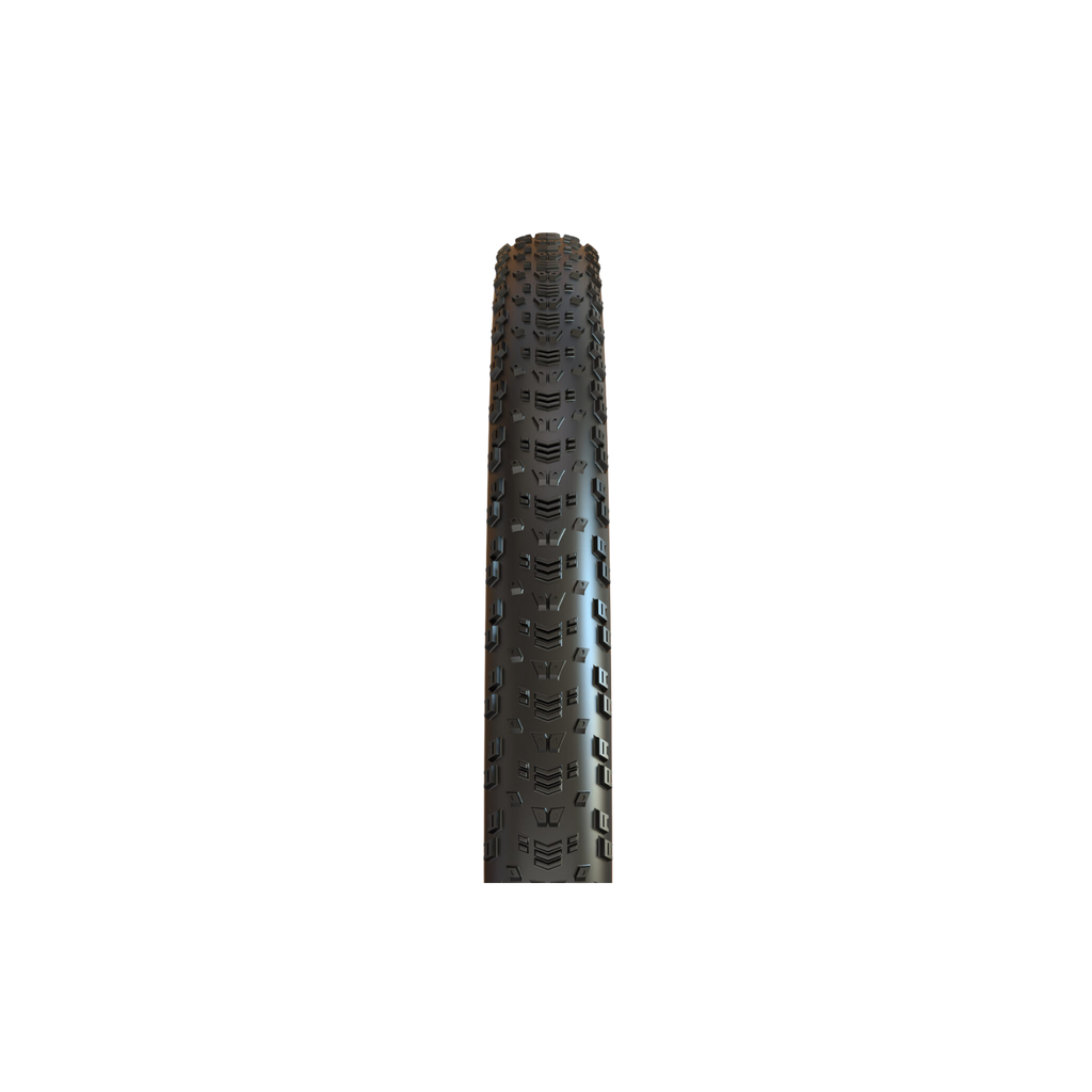 Maxxis Aspen - Folding TR - 29" - Black