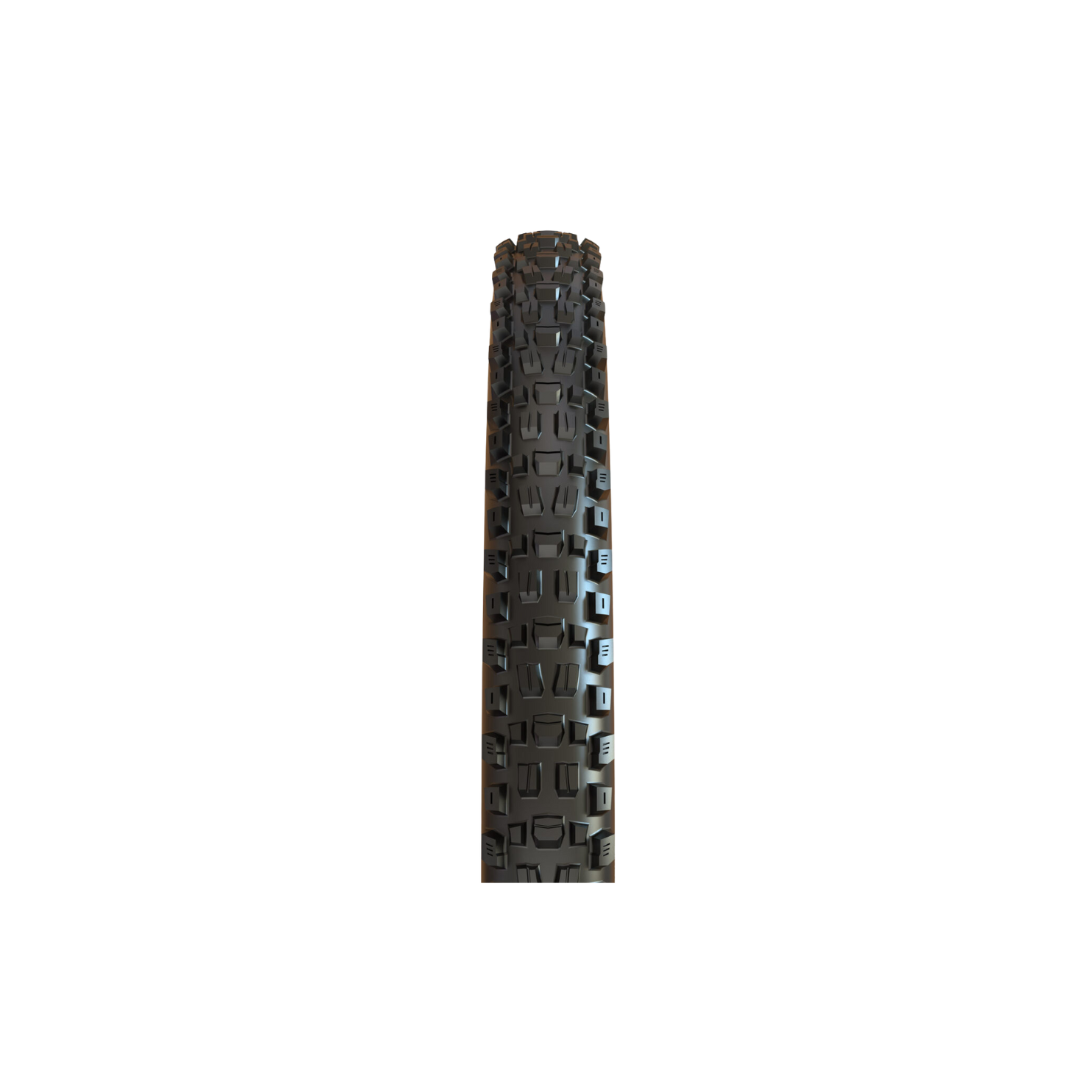 Maxxis Assegai - Folding TR - 27.5" - Black