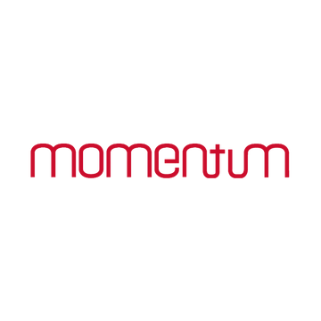 Momentum Dual Mounting Kit For Vida E+ (Rack To Fender)