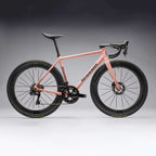 Standert Kreissäge RS Aero Frameset - Preorder