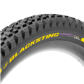 Pirelli Scorpion™ BLACKSTING DH+WALL Supersoft Tyre - Team Edition