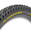 Pirelli Scorpion™ BLACKSTING DualWALL Supersoft Tyre - Team Edition