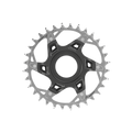 SRAM XX Eagle T-Type 1x12 Chainring for Fazua Direct Mount - Silver - 32T