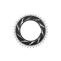 SRAM XX SL Eagle T-Type Thread Mount Chainring - 38T - 0mm Offset