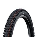 Schwalbe Albert Radial Trail Pro Soft 29" TLR MTB Tyre - Black