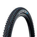 Schwalbe Racing Ray 29" TLE MTB Tyre - Black