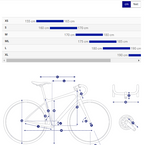 Giant FastRoad AR Advanced 2 公路自行车 - 虎红色