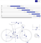 Giant Defy Advanced 1 Road Bike - Frost Silver