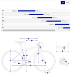 Giant Defy Advanced Pro 1 公路自行车 - 流星风暴