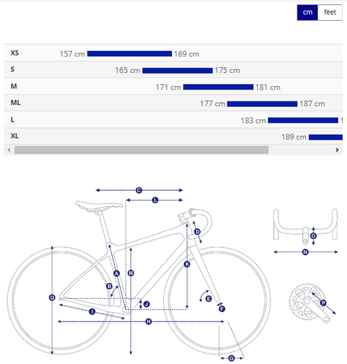 Giant Defy Advanced Pro 1 公路自行车 - 流星风暴