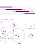 Liv Avail Advanced Pro 1 Road Bike- Aurora Noise