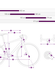 Liv Avail AR 3 Road Bike - Frost Silver