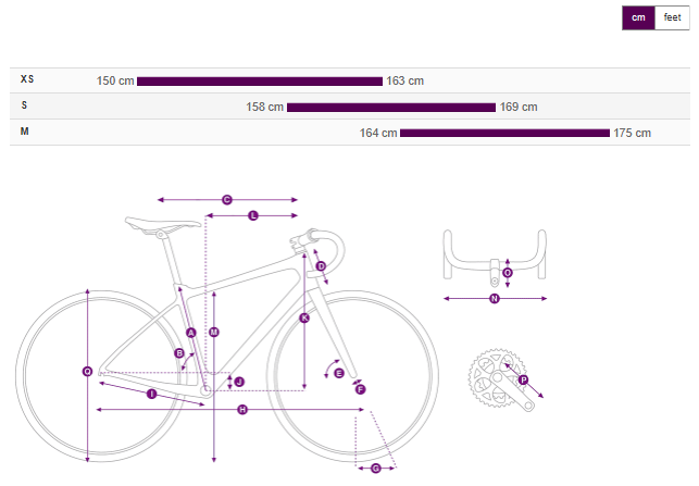 Liv Avail Advanced E+ Elite 0 电动自行车 - 原碳