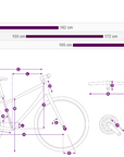 Liv Flourish FS 2 Urban Bike - Eclipse