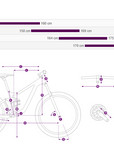 Liv Embolden 2 Mountain Bike - Purple Ash