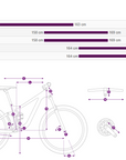 Liv Tempt 3 Mountain Bike - Purple Ash