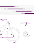 Liv Pique 29 Mountain Bike - Purple Ash