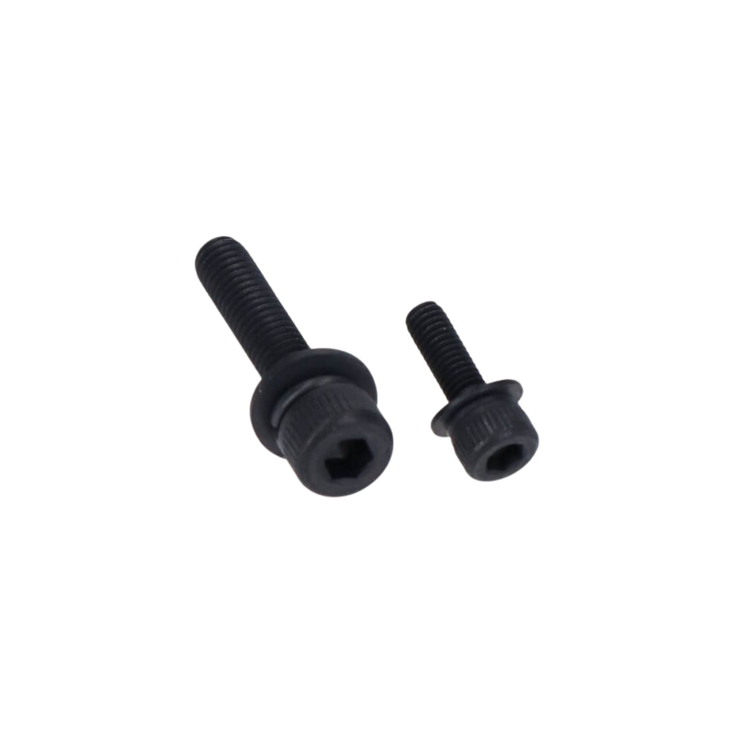 Shimano Sc-En600 后叉直径31.8毫米（带螺母）
