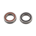 SRAM Hub Bearing Set Rear Rise 60 XD Driver