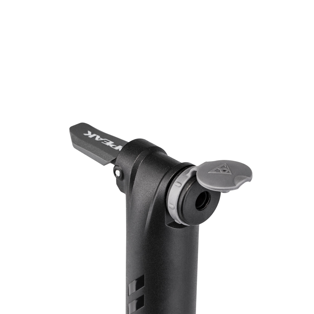 Topeak Mountain DA