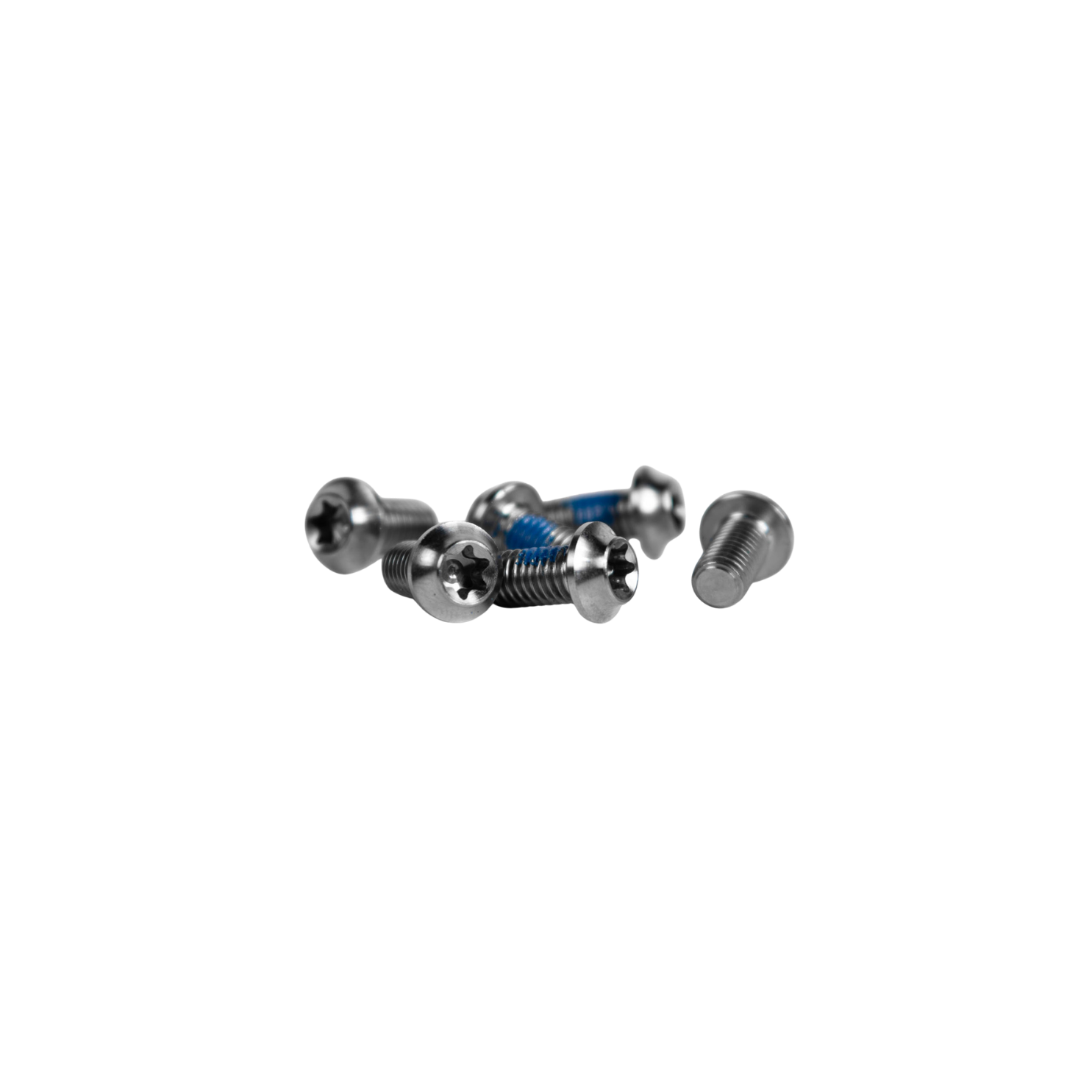Trickstuff Titanium Rotor Bolts - Silver