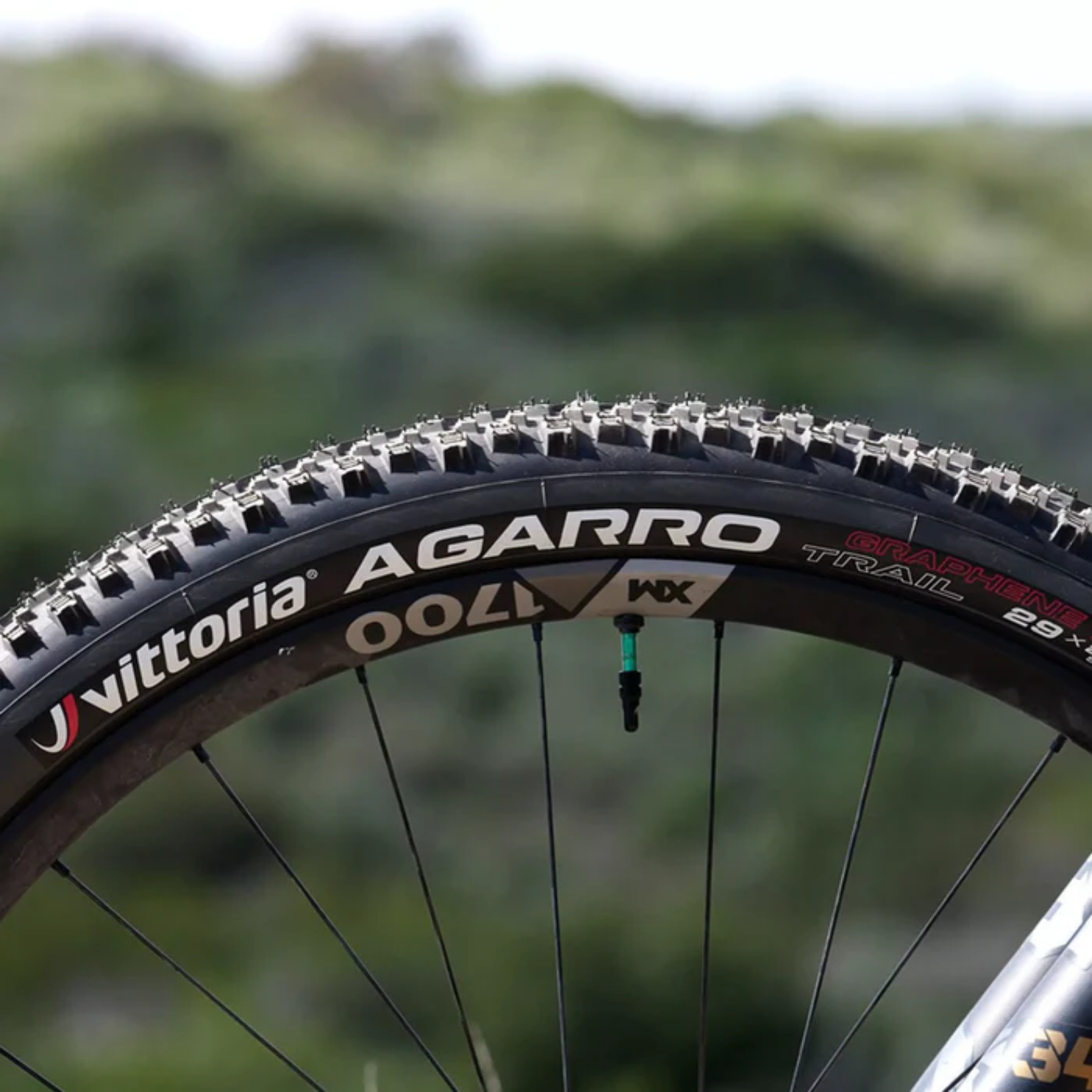Vittoria Agarro Trail - Anthracite