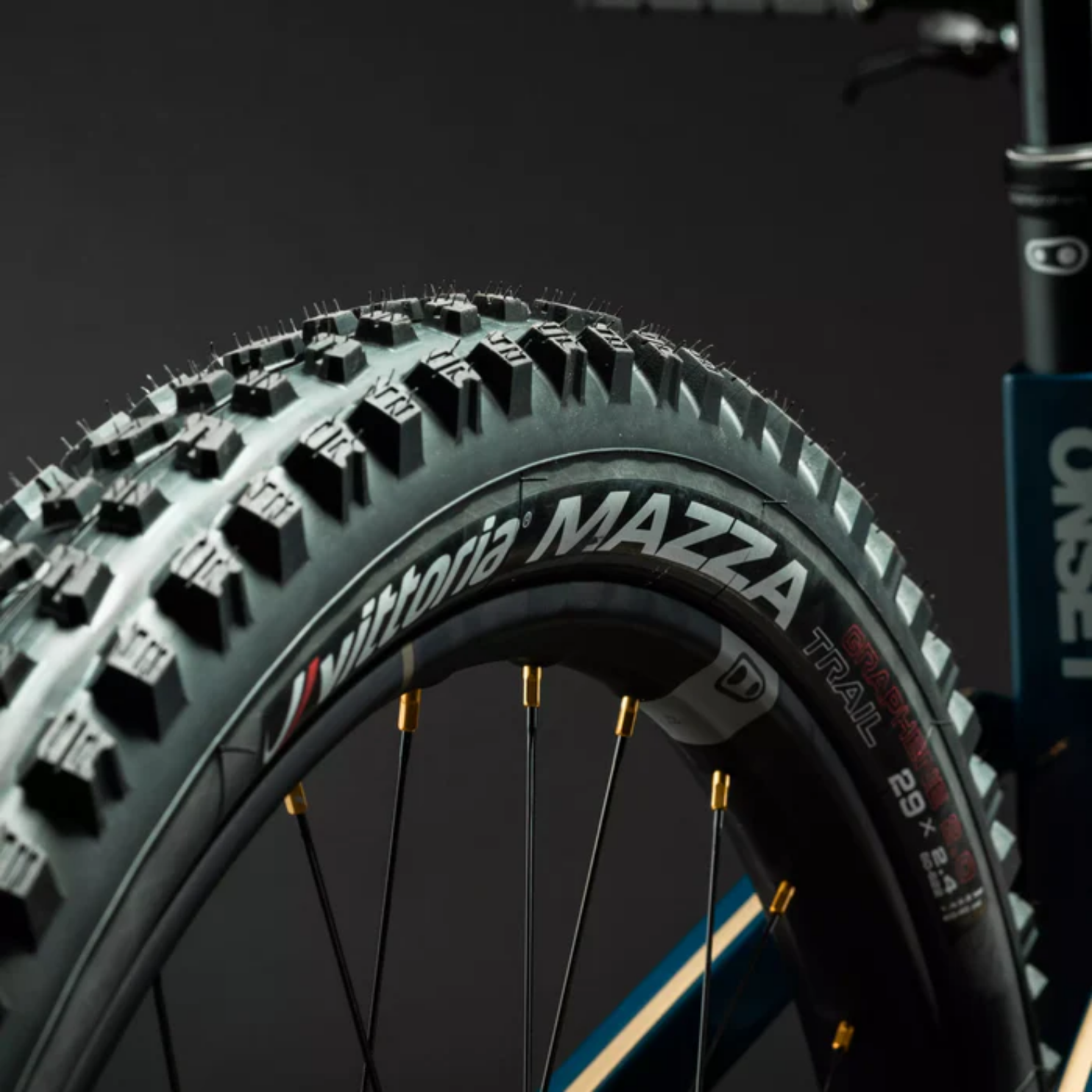 Vittoria Mazza Trail - Anthracite