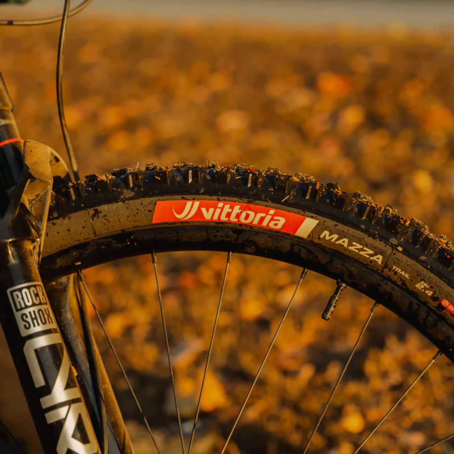 Vittoria Mazza Trail - Brown