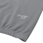 Phantasy Logo Hoodie - Storm Front Grey