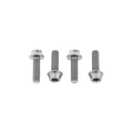 Wolf Tooth Water Bottle Cage Bolts - Raw Silver