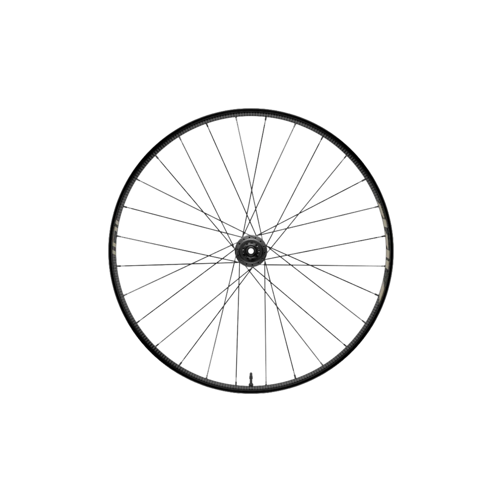 Zipp 101 XPLR 碳纤维无内胎碟刹车轮组 - Kwiqsand