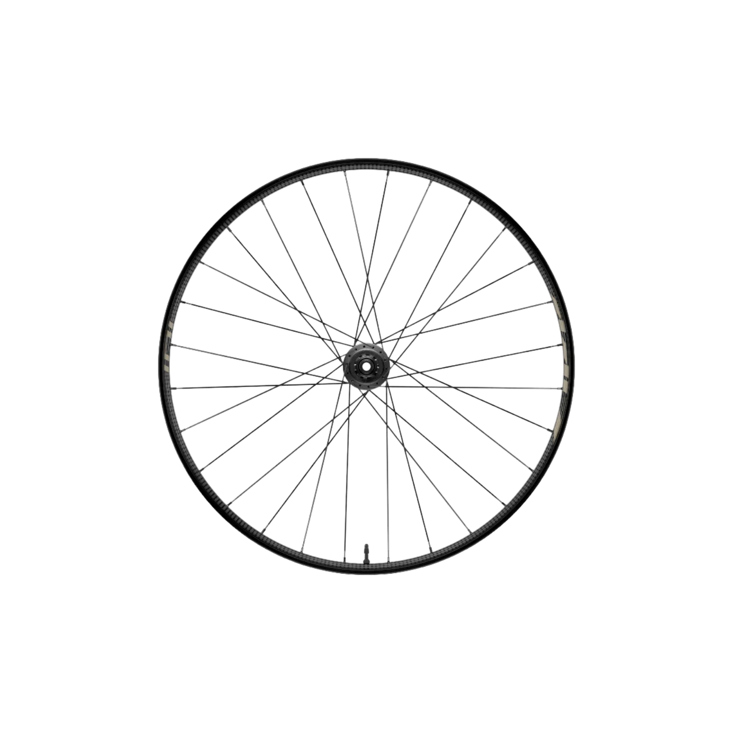 Zipp 101 XPLR 碳纤维无内胎碟刹车轮组 - Kwiqsand