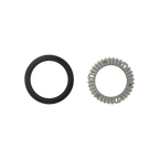 Zipp SERVICE - Clutch assembly & Seal for rear COGNITION
