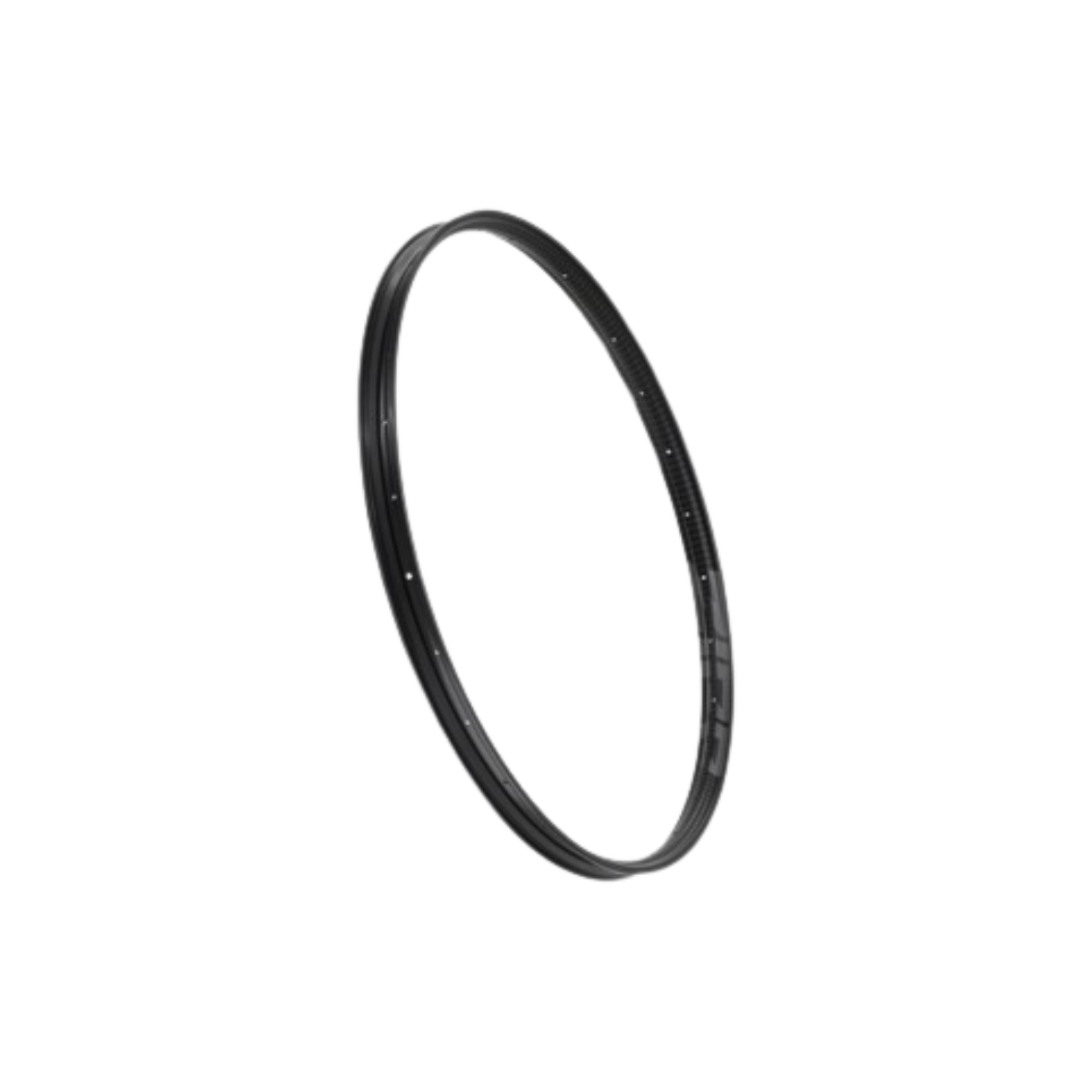 Zipp Rim 101 XPLR 无内胎 700c 后轮 28 孔 标准图形 A1 