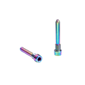 absoluteBLACK Titanium Disc Pads Retaining Bolts for Shimano Road - Rainbow