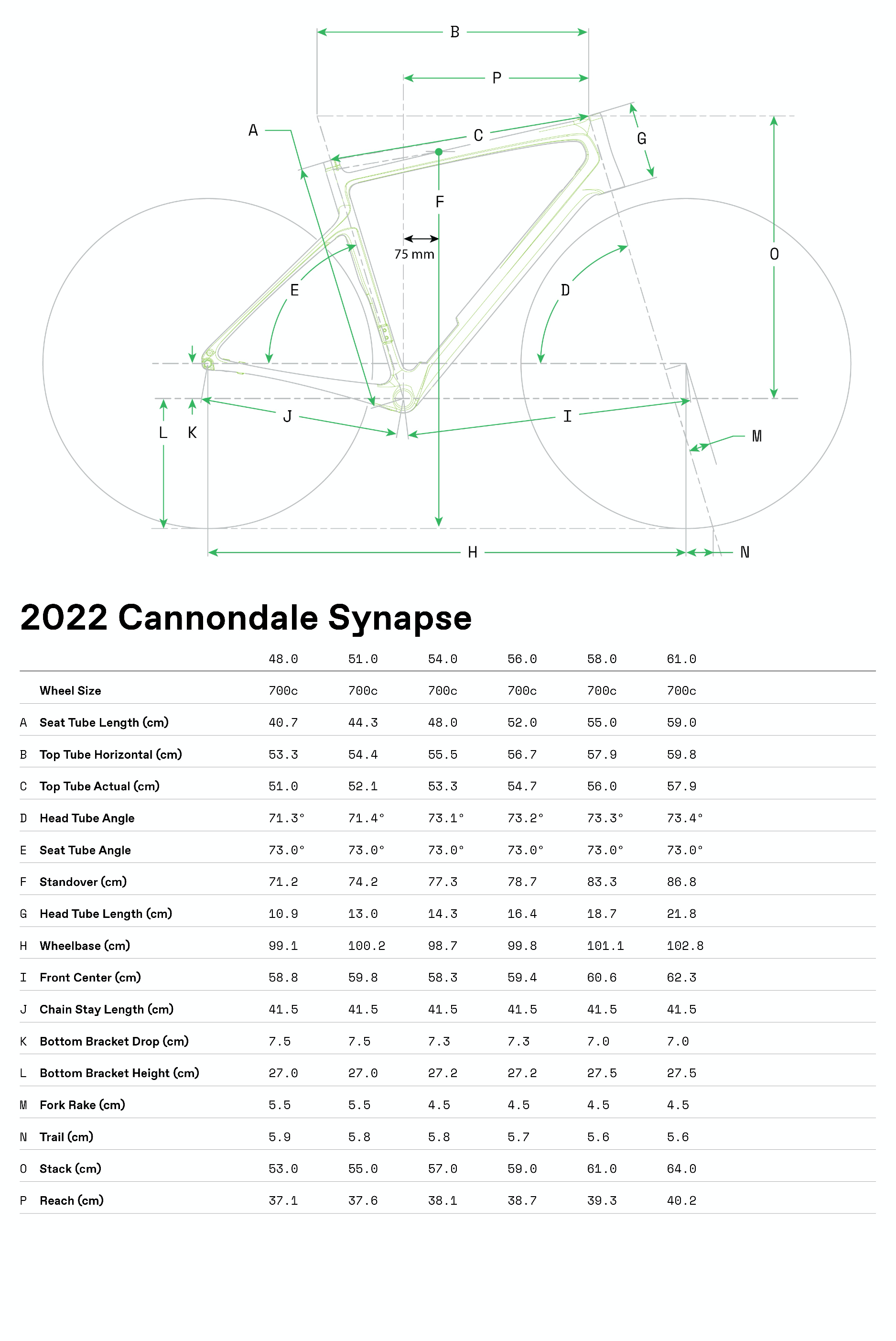 cannondale-synapse-carbon-4-road-bike-cashmere-geometry