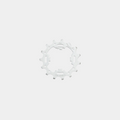 campagnolo-15a-cassette-sprocket