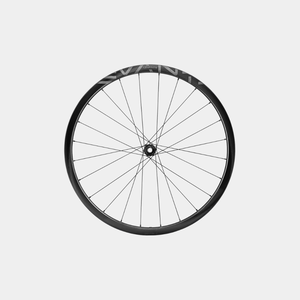 campagnolo-levante-disc-brake-2wf-wheelset