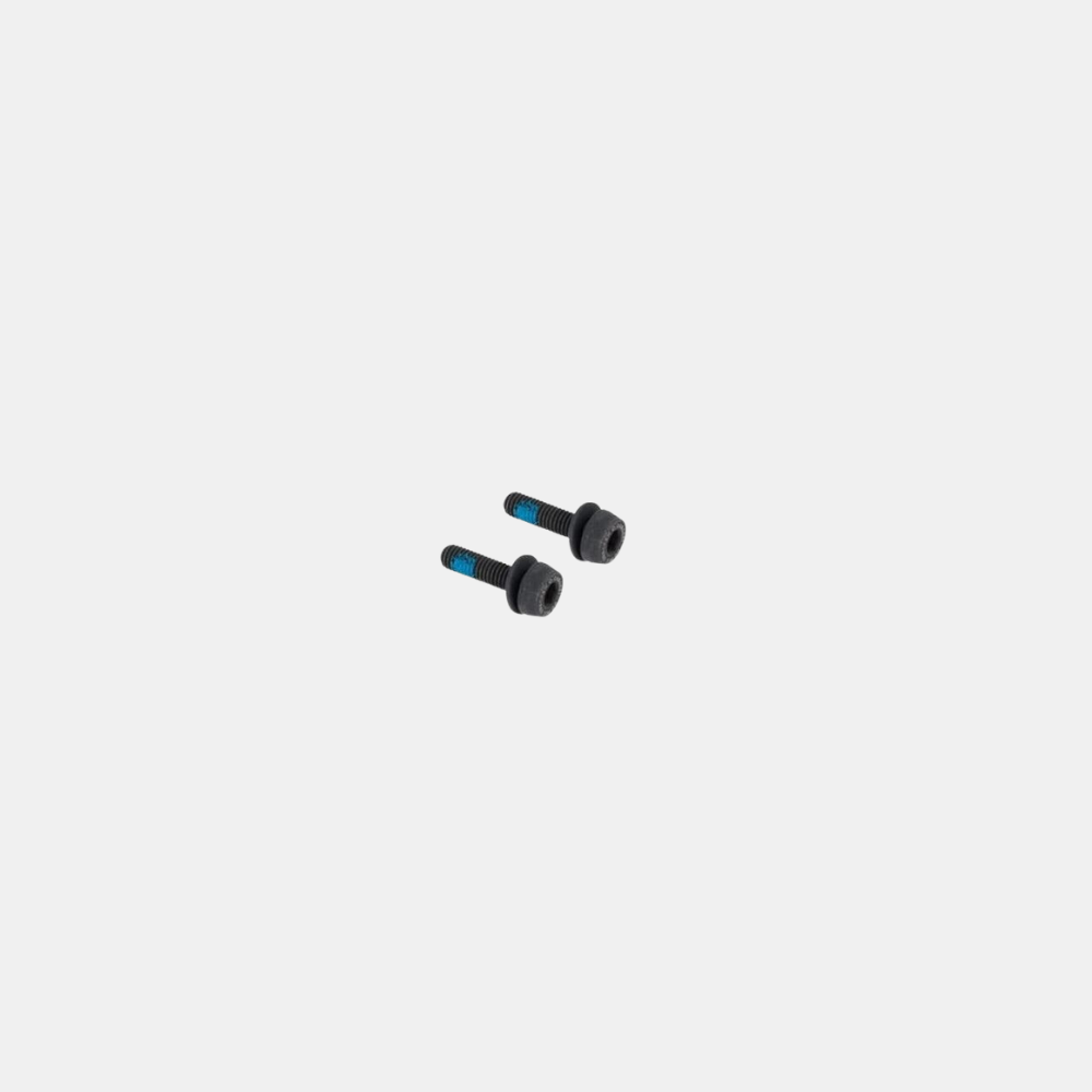 Campagnolo Spare Screws 2X29mm H11 20-24mm Rear Mount