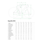 Cannondale SuperSix EVO LAB71 Complete Bike - EF Pro Cycling Team Edition