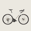 Cannondale Synapse 1 - Cashmere