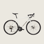 Cannondale Synapse 1 - Cashmere