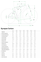 Cannondale Synapse Carbon 3 SmartSense 耐力自行车 - 羊绒