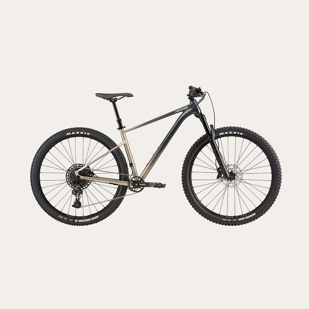 Cannondale Trail SE 1 Mountain Bike - Meteor Grey