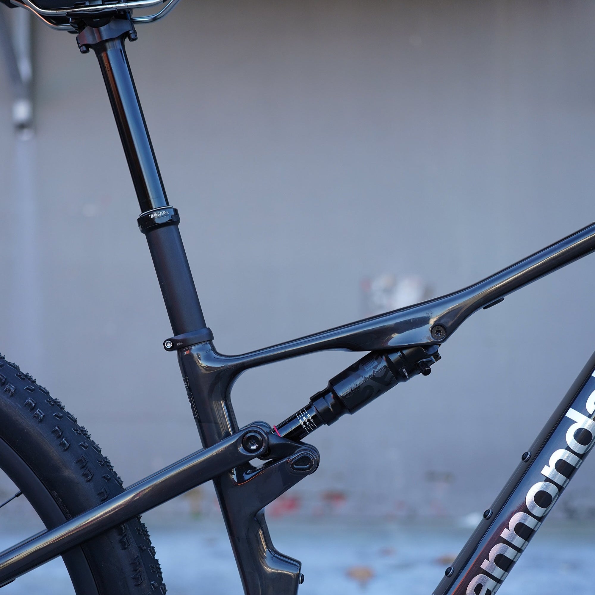 Cannondale Scalpel Carbon 1 - 原碳