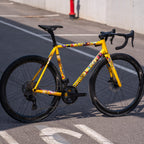 Dario Pegoretti Elio Steel XCR Road Frameset