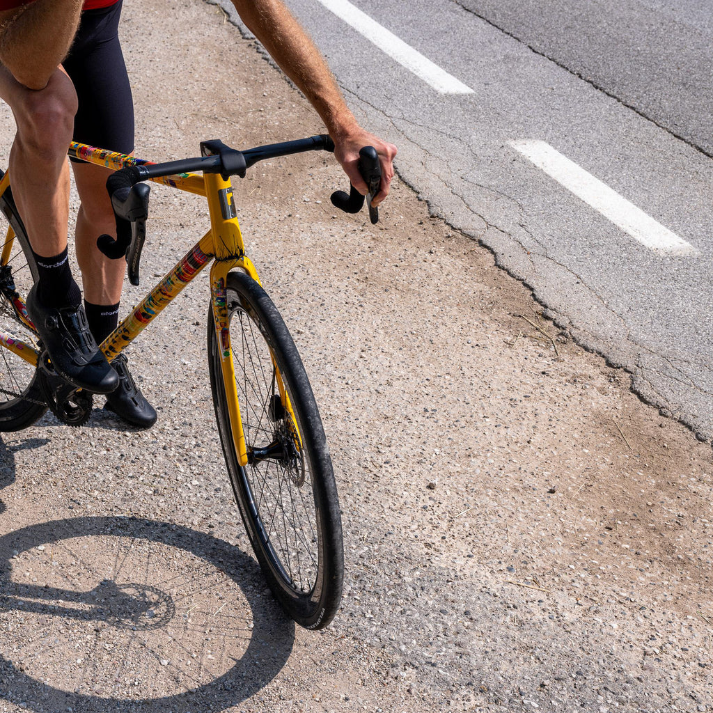 Dario Pegoretti Elio Steel XCR Road Frameset